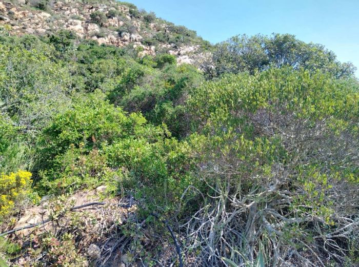 Vacant Land Residential For Sale in Vakansieplaas with mountain views and privacy.