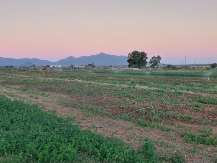 Adendorp Farm For Sale: 1.6 hectares, strong borehole, 2-bed home, mountain views.