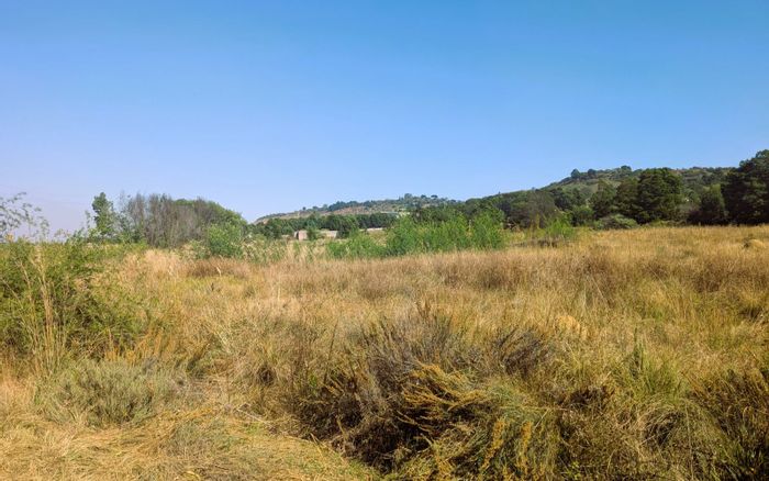Vacant Land Residential For Sale in Blue Saddle Ranches with community amenities and views.