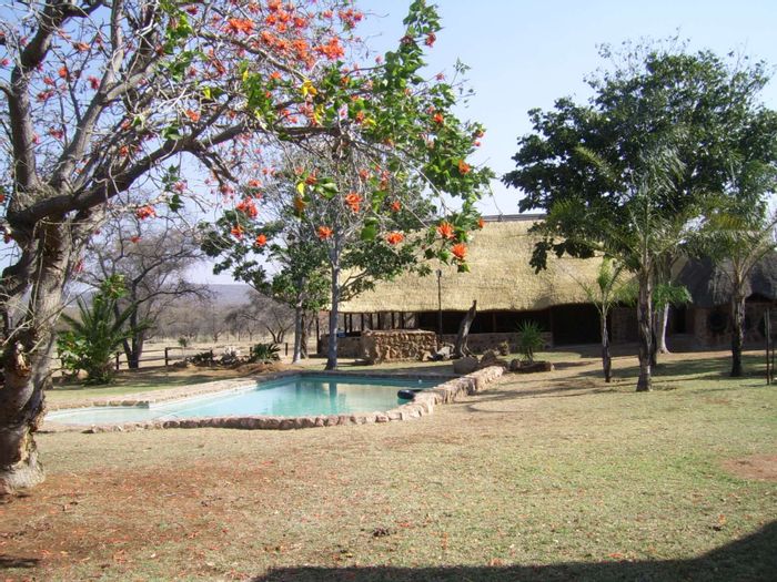 For Sale: Farm in Buffelsdoorns AH with wildlife, hunting, and accommodation facilities.