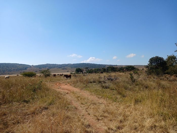 332ha Farm for Sale in Mookgopong Rural: Cattle-ready, off-grid potential, abundant game.
