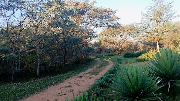 Farm for Sale in Vaalwater Central: 13 rooms, off-grid living, hunting retreat.