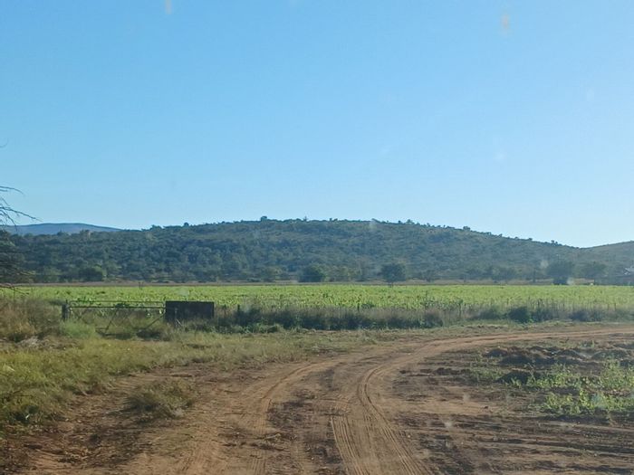 For Sale: Productive Farm in Modimolle Rural with Irrigation, Solar Power, and Home.