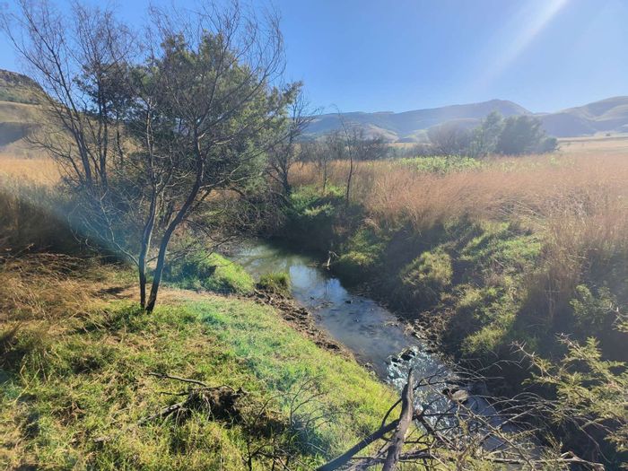 For Sale: 165.51 ha Farm in Newcastle Rural with water source and grazing land.