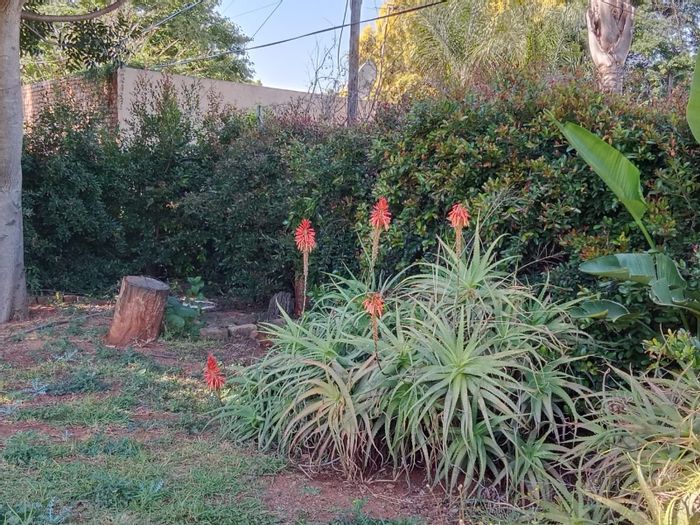 For Sale: Spacious Mountain View house with pool, flatlet, and ample parking.