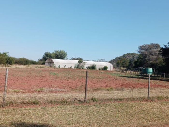 For Sale: 21ha Farm in Bela Bela Rural with solar power, irrigation, and livestock facilities.