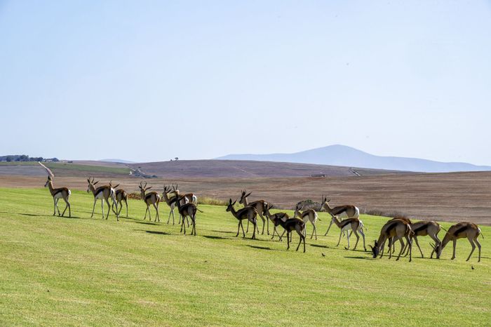 Vacant Land Residential in Mount Royal Golf Estate For Sale with park access.