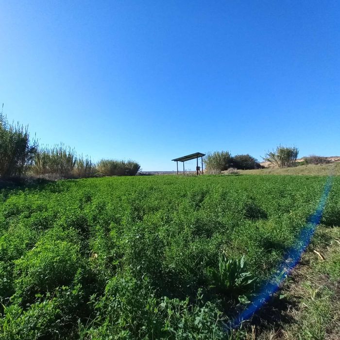 Off-Grid Farm for Sale in Calitzdorp Rural with Solar Power and Irrigation.