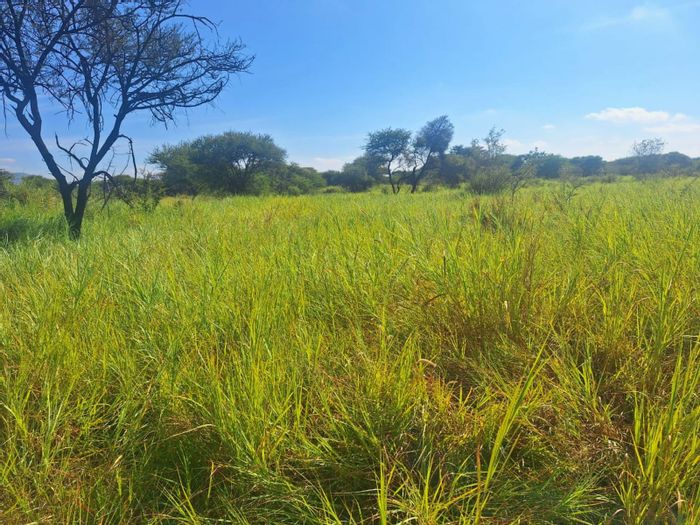 Mokopane Rural Farm For Sale: 144 hectares, game fencing, equipped borehole, grazing land.