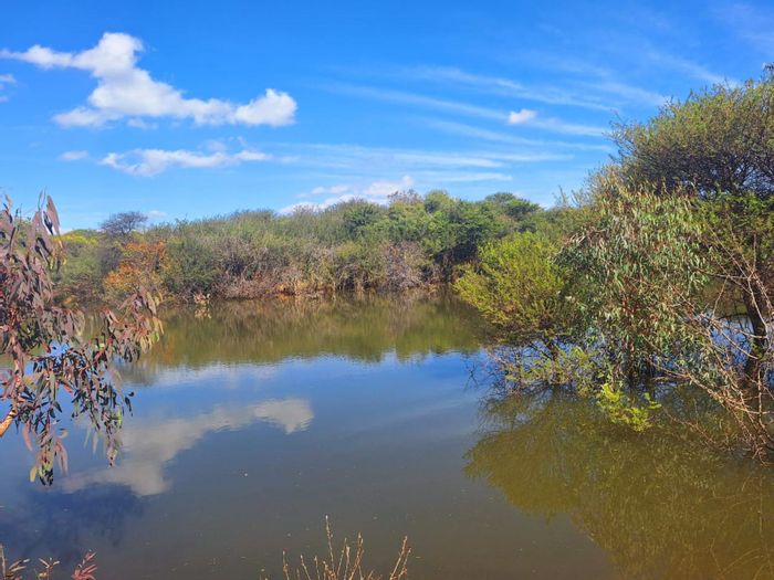 For Sale: Versatile 290-hectare farm in Mokopane Rural with game, livestock, and crops.