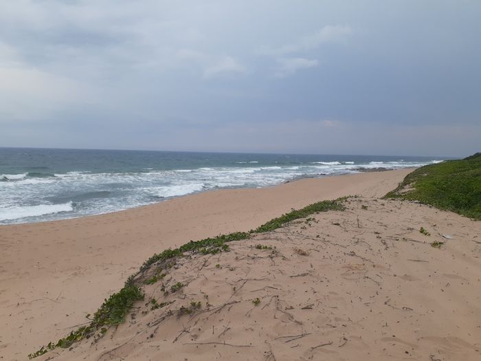 For Sale: Prime 125ha Farm in Blythedale Central with beachfront access.