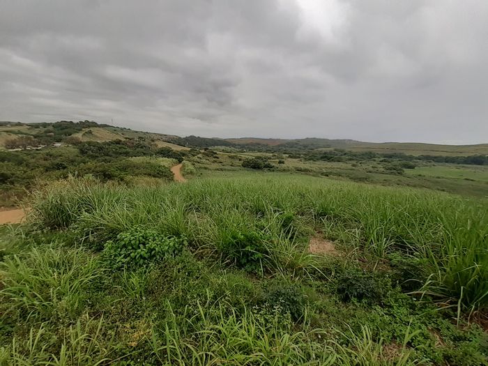 8 ha farm for sale in Compensation Beach, close to schools and shopping.