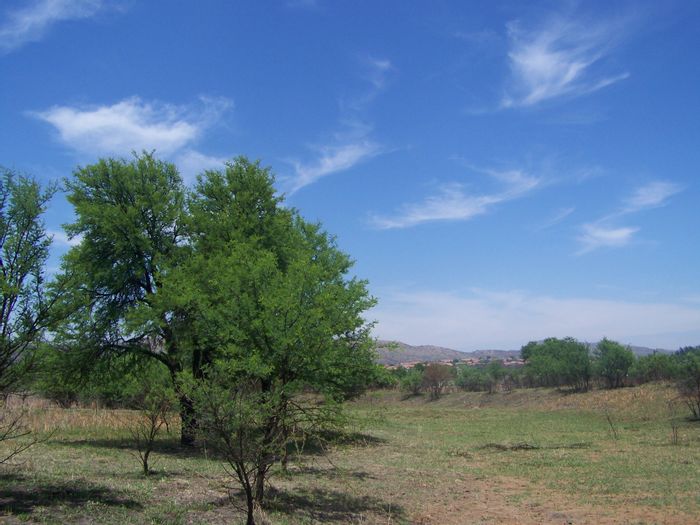 Eco-Friendly Vacant Land in La Camargue Estate with Wildlife and Clubhouse Access