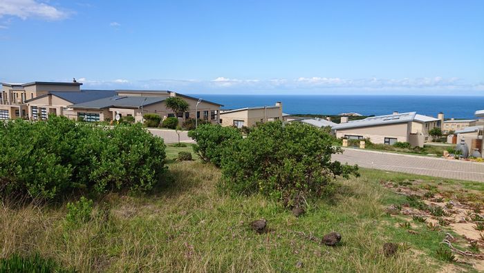 Blue Ridge For Sale: Vacant Land Residential with sea views and eco estate access.