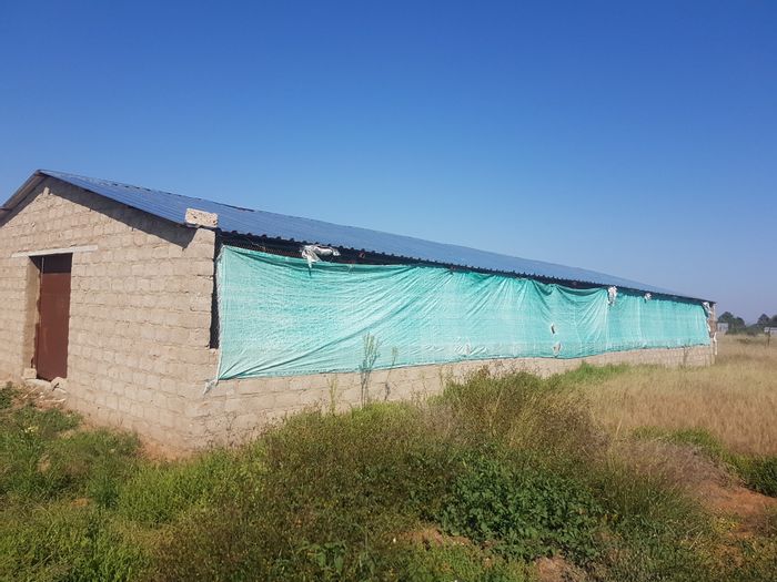 Moletji Small Holding For Sale: Chicken farm with secure housing and 3-room residence.