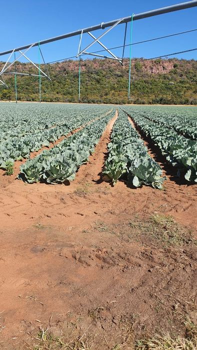 Irrigation farm for sale in Modimolle Central with extensive water rights and facilities.