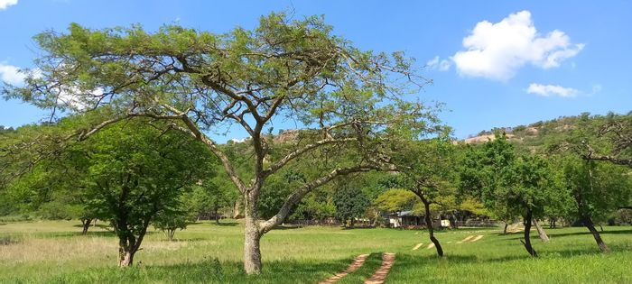 For Sale: Nelspruit Rural Farm with ample land, water access, and livestock facilities.