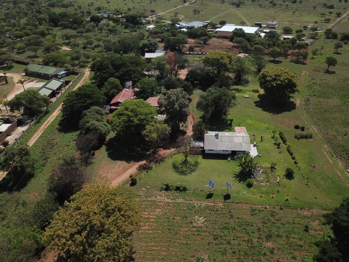 For Sale: Palmietfontein AH Small Holding with multiple homes and abundant water supply.