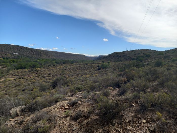 Ladismith Rural Farm For Sale: 59 ha in Buffelsdrift Conservancy with access rights.