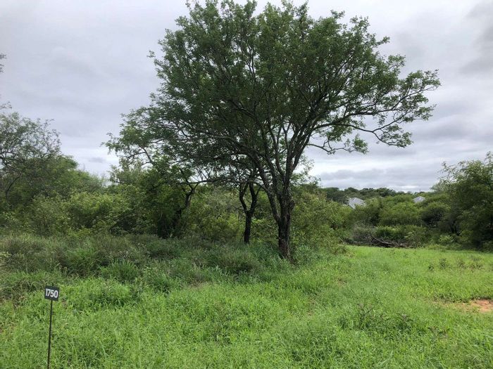 For Sale: Vacant Land in Hoedspruit Central, secure estate, close to amenities.