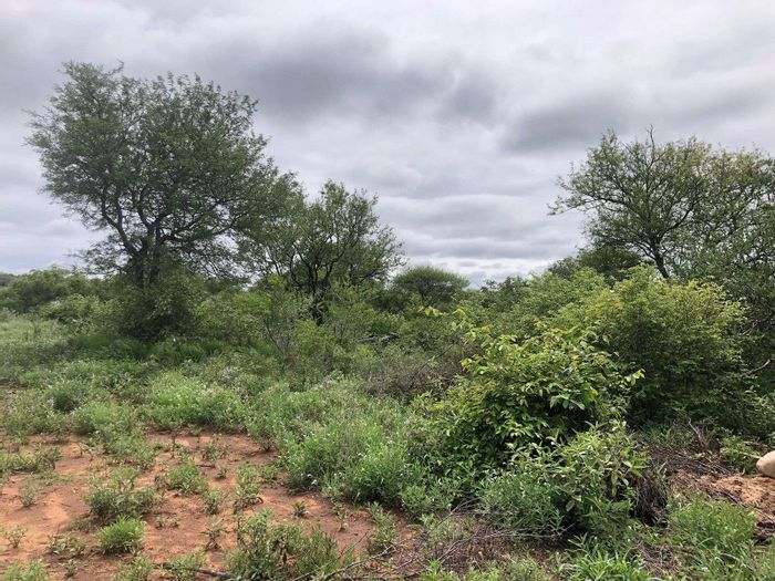 For Sale: Vacant Residential Land in Hoedspruit Central, near amenities and security.