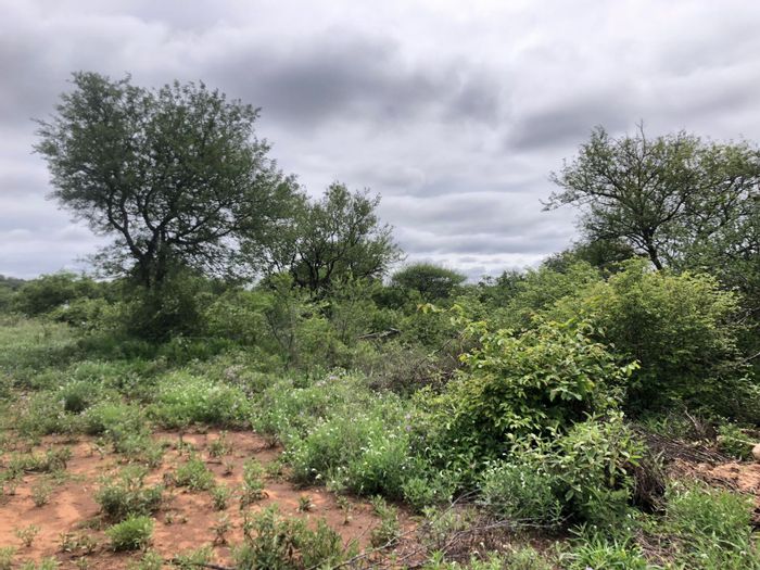 For Sale: Vacant Residential Land in Hoedspruit Central, close to amenities.