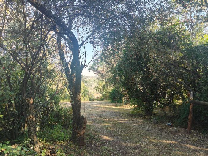 Vacant Land Residential For Sale in Diswilmar AH with income-generating cottages.
