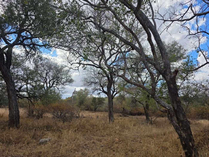 Vacant Land Residential in Hoedspruit Central, For Sale - Secure estate, pet-friendly, near amenities.