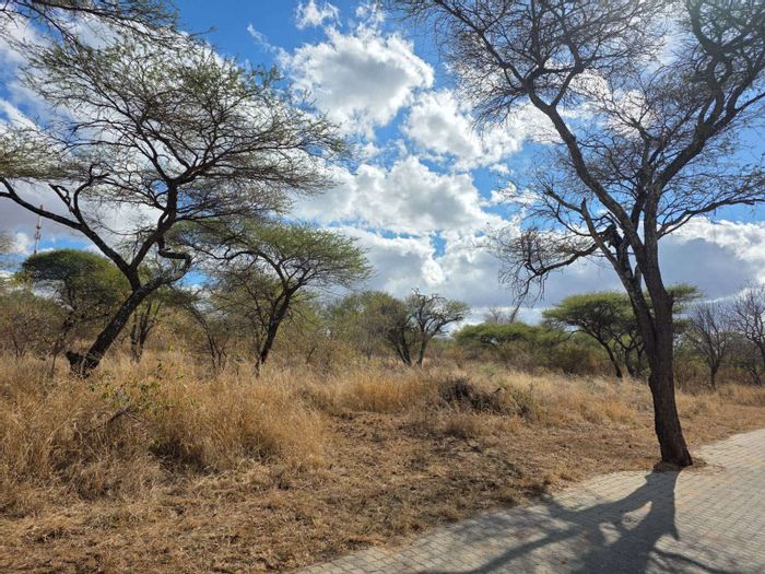 Vacant Land Residential in Hoedspruit Central, For Sale - Pet-friendly, near amenities.