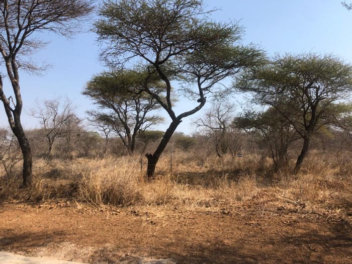 Vacant Land Residential For Sale in Hoedspruit Central, pet-friendly with community amenities.