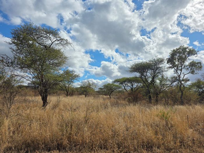 Vacant Land Residential in Hoedspruit Central, For Sale: Pet-friendly, near amenities.