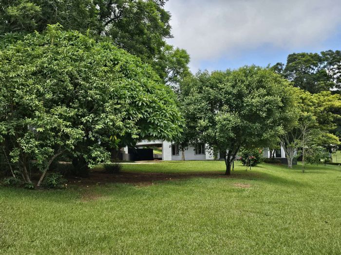For Sale: Spacious 5-bedroom house with guest units, lapa, and extensive parking in White River AH.