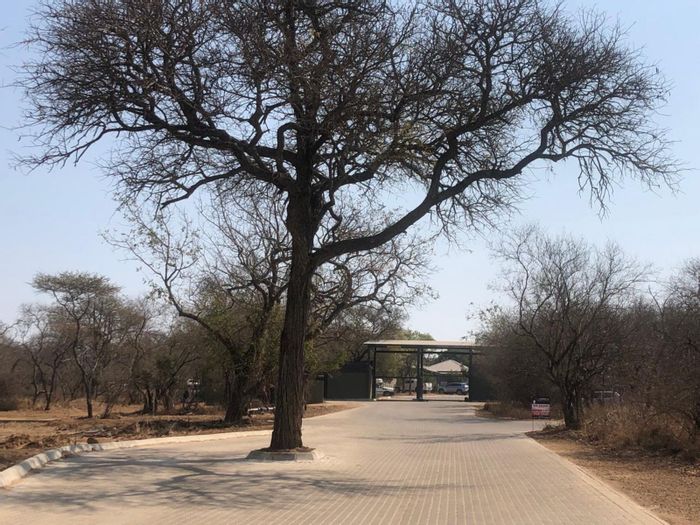 Vacant Land for Sale in Hoedspruit Central - Secure Estate, Build Your Dream Home.