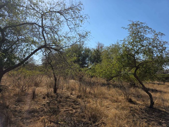 Vacant Land Residential for Sale in Hoedspruit Central, Zandspruit Manor estate.