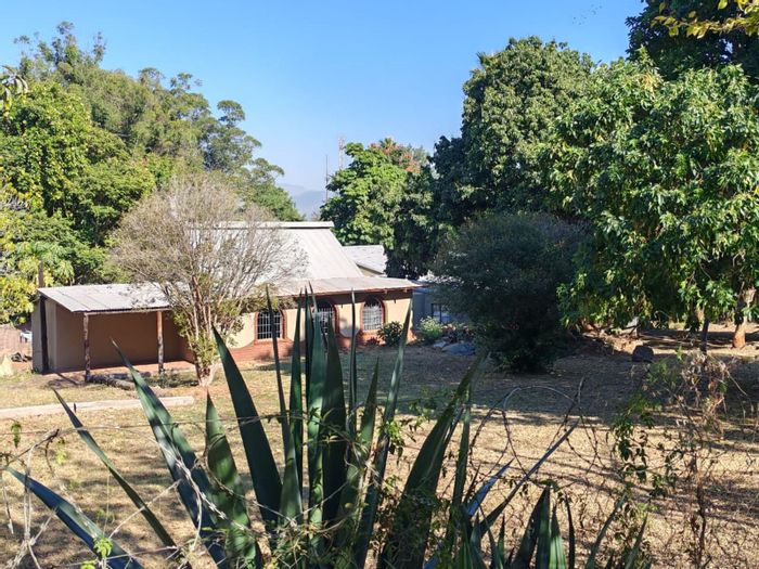 For Sale: Spacious 5-Bedroom House in Barberton Central with ample parking and potential.