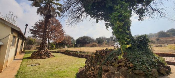 Farm for Sale in Hartzenbergfontein: Three cottages, borehole, dam, and greenhouse.