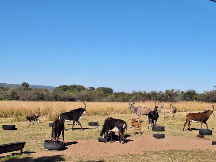 For Sale: 61-hectare farm in Sterkrivier AH with game fence, water supply, and amenities.