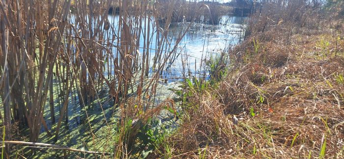 Elandsvlei Farm For Sale: 21 hectares of fertile land with water supply.