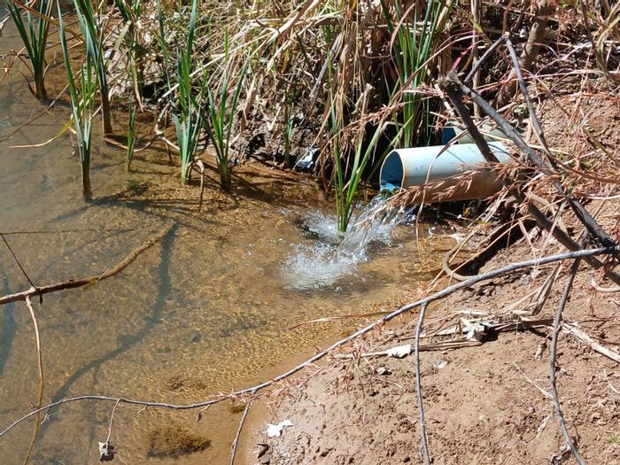 Farm for Sale in Modimolle Rural: River, water supply, pecan orchard, and livestock facilities.