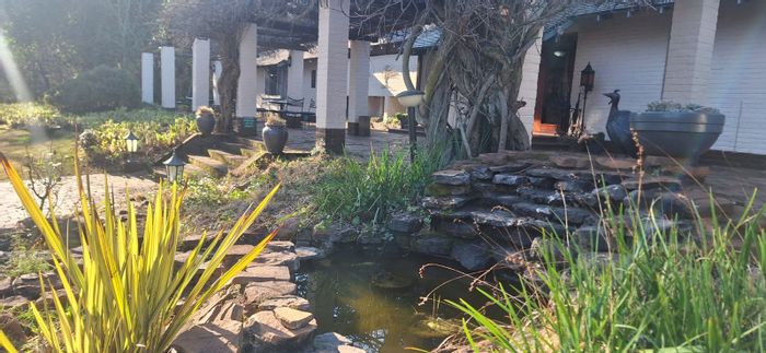Rietpoort Business For Sale: Country lodge with 13 rooms, spa, and conference venues.