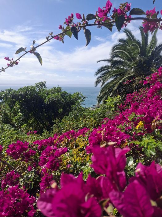 Vacant Land Residential For Sale in Mossel Bay Central with Sea Views and Plans.