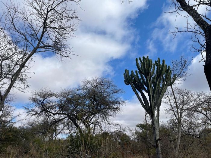 For Sale: 957-hectare farm in Polokwane Rural, ideal for cattle and crops.