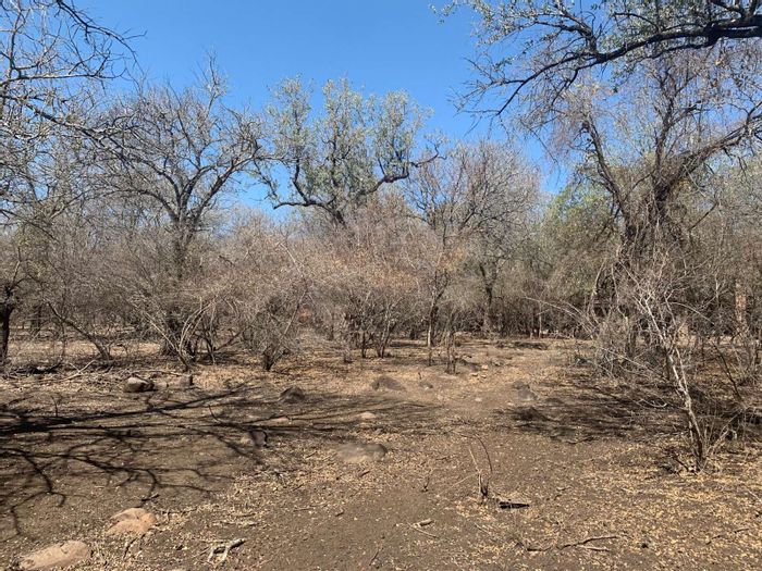 Vacant Land Residential in Marloth Park Central, For Sale: 1860 sqm with parkland views.