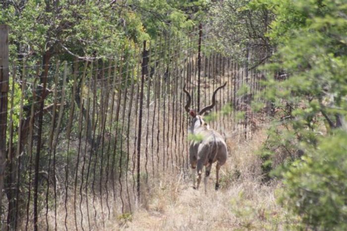 Ohrigstad Central Farm For Sale: 870 hectares, wildlife, off-grid living, eco-tourism potential.