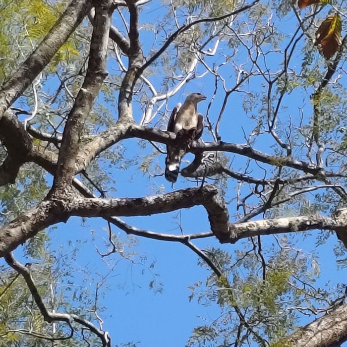 Vacant Land Residential For Sale in Waterfall, 1862m² with excellent access and amenities.