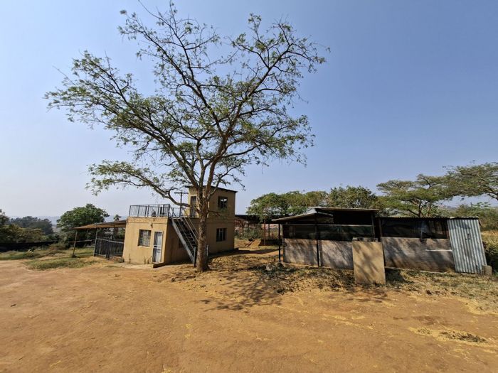 Farm for Sale in Nelspruit Rural: 1-hectare with borehole, workshop, and outbuildings.