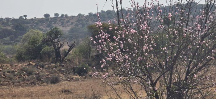 Vacant Land for Sale in Vaal Marina Central with Waterfront Access and Utilities Ready.