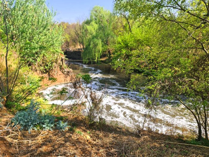 For Sale: 10ha Farm in Erasmia with river access, borehole, and rental cottages.