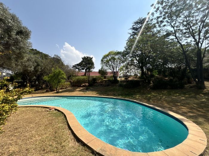 Bryanston House To Rent: 4 beds, large yard, pool, pet-friendly living.