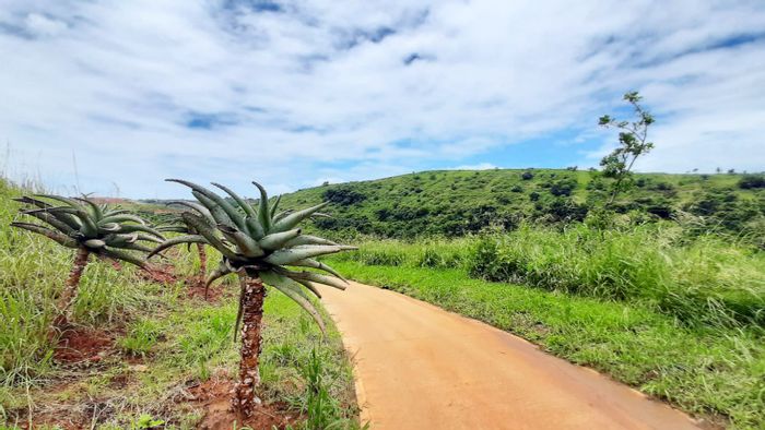 Vacant Land Residential For Sale at Zimbali Lakes Resort with golf course views.